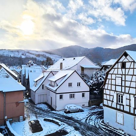 Duplex Moderne A 10 Minutes De Colmar Wintzenheim Exterior foto